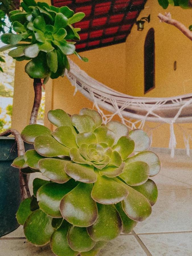 Casa Com Flores Pedra Azul  Kültér fotó